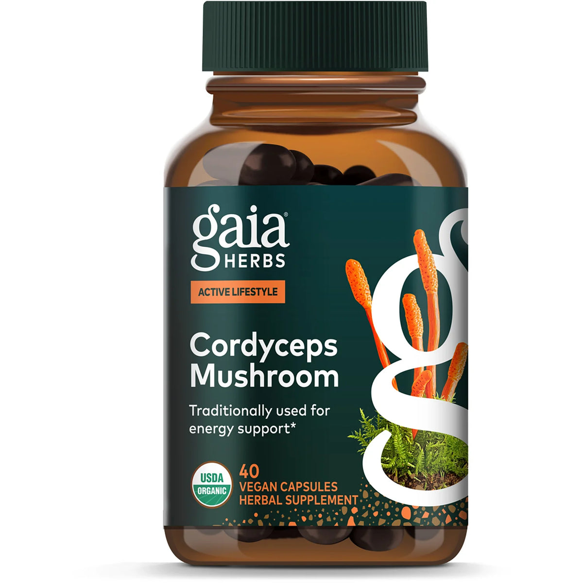 Cordyceps Mushroom