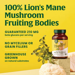 Superfood Mushroom Focus Support