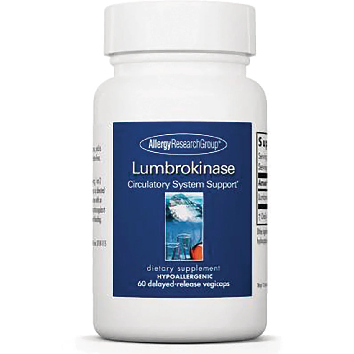 Lumbrokinase