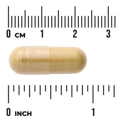 Full Spectrum Ginger & Turmeric - 2-in-1 Formula