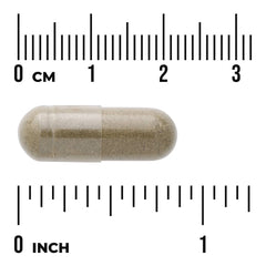 Full Spectrum Papaya Leaf