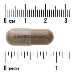 Horny Goat Weed Extract