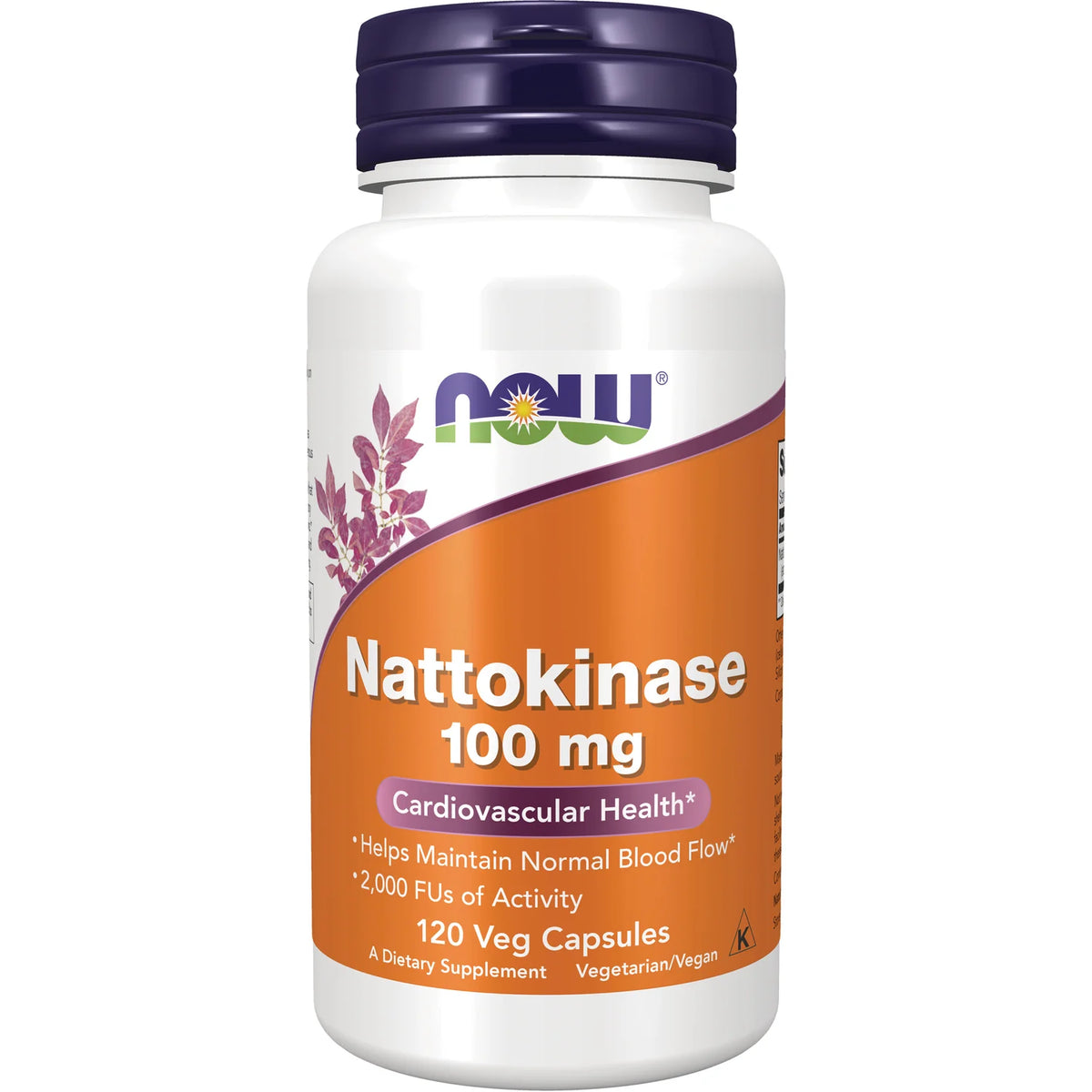 Nattokinase