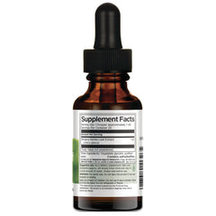 Stinging Nettles Leaf Liquid Extract - Alcohol & Sugar Free