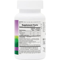 Animal Parade AcidophiKidz Children's Chewable Probiotic - Berry