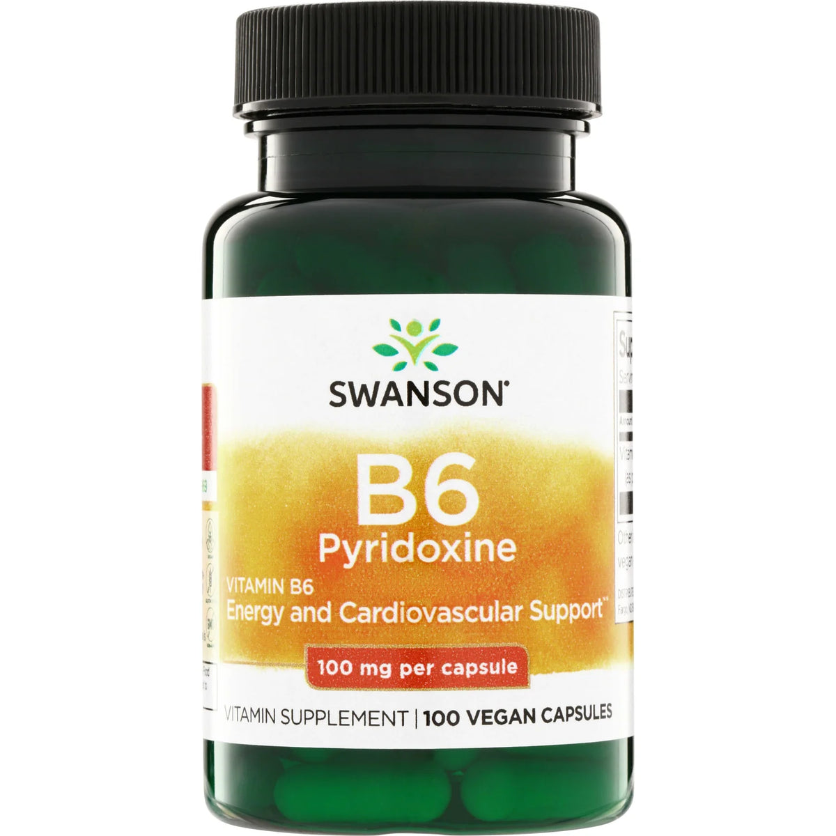 Vitamin B6 Pyridoxine
