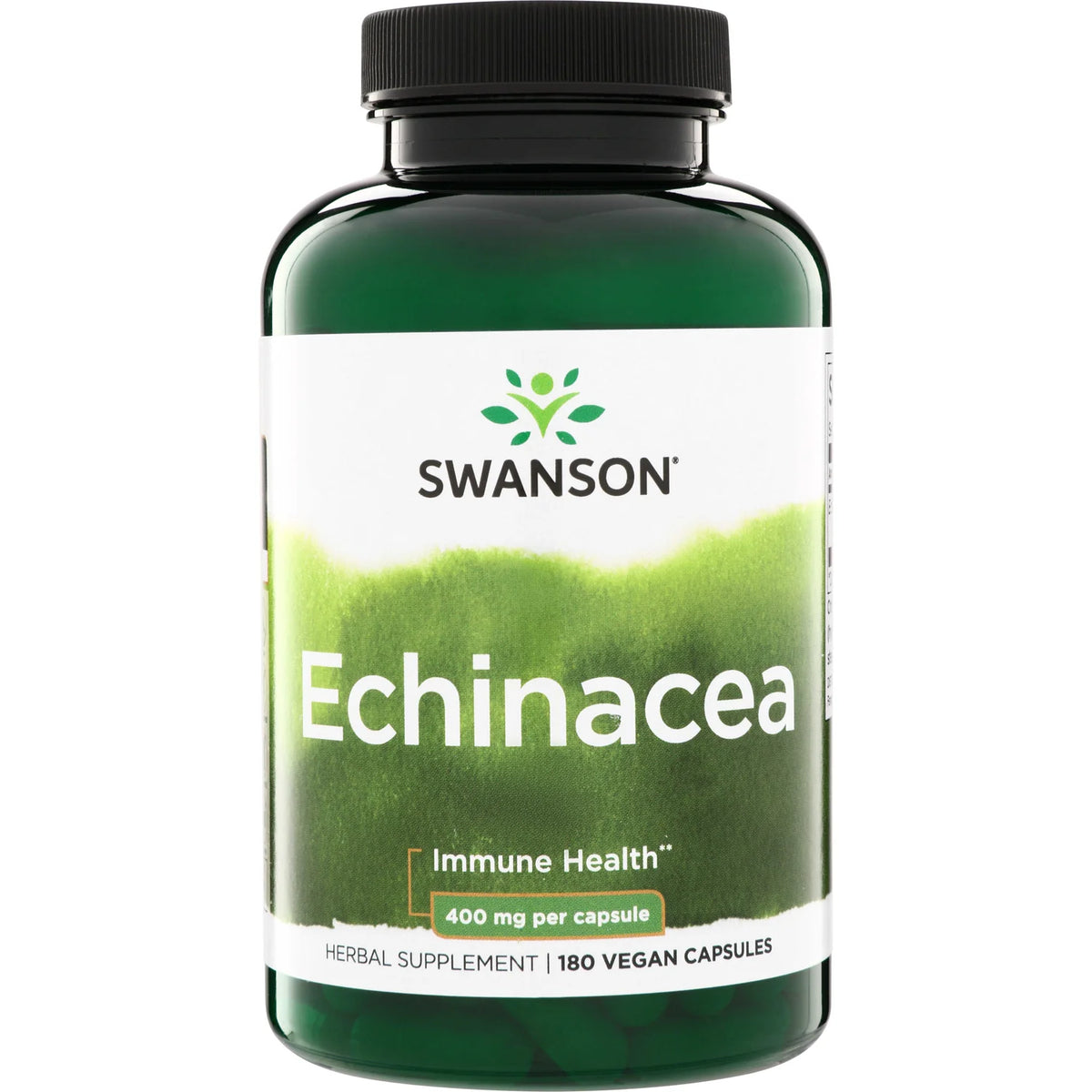 Echinacea