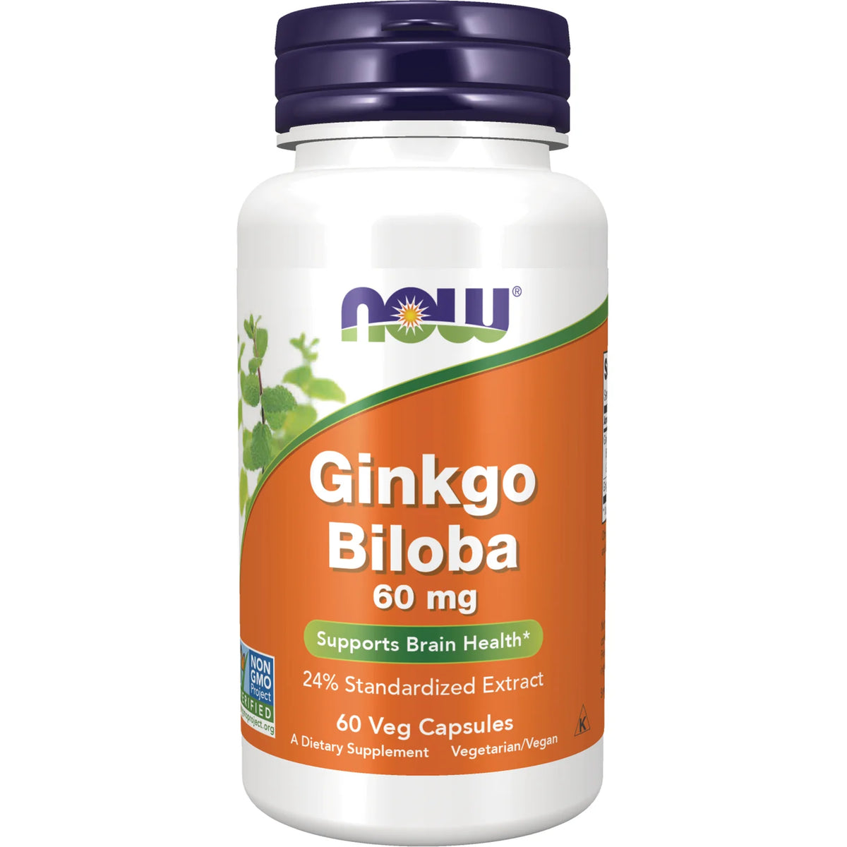 Ginkgo Biloba