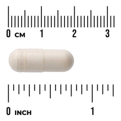 Boswellia Serrata Extract