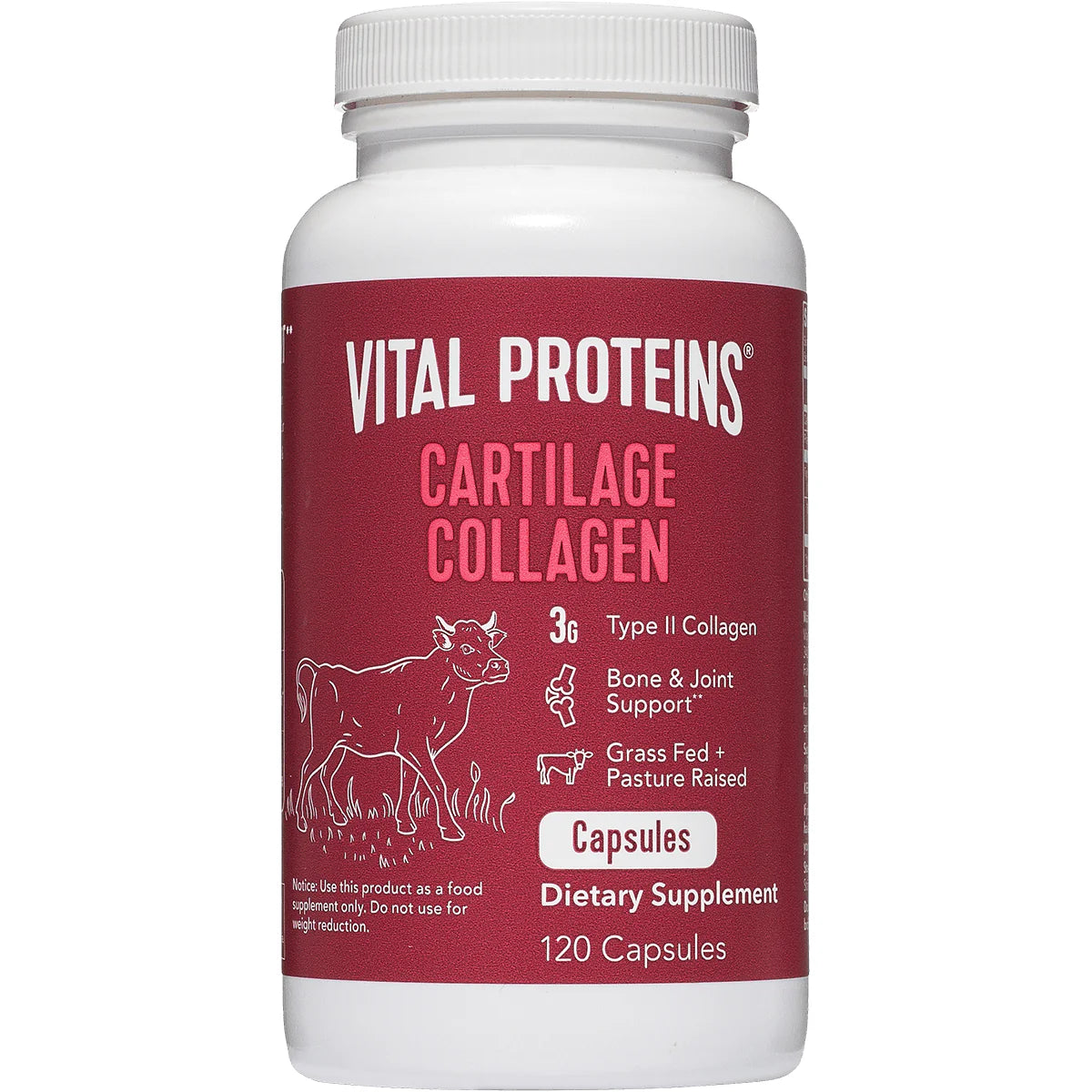 Cartilage Collagen