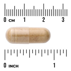 Nootropic Brain Food - Featuring Neumentix