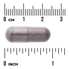 Bilberry - Extra Strength Standardized
