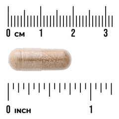 Lung Glandular