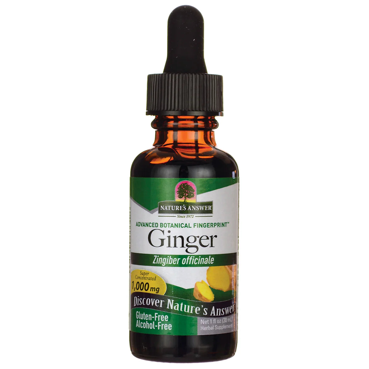 Ginger