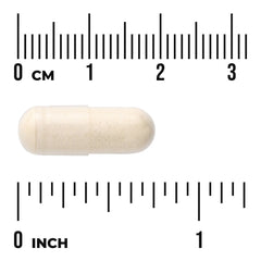 SelenoExcell Selenium