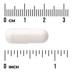 Prebiotic Jerusalem Artichoke - 90% Inulin