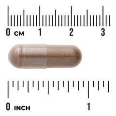 Astragalus - Standardized