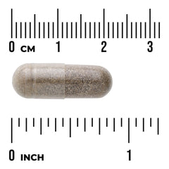 Gymnema Sylvestre Extract - Standardized