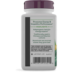Rhodiola