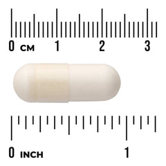 Probiotic Complex
