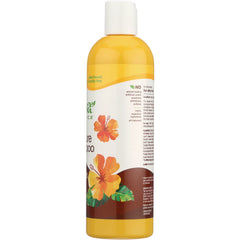 More Moisture Shampoo - Coconut Milk