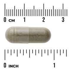 Full Spectrum Spearmint Leaf