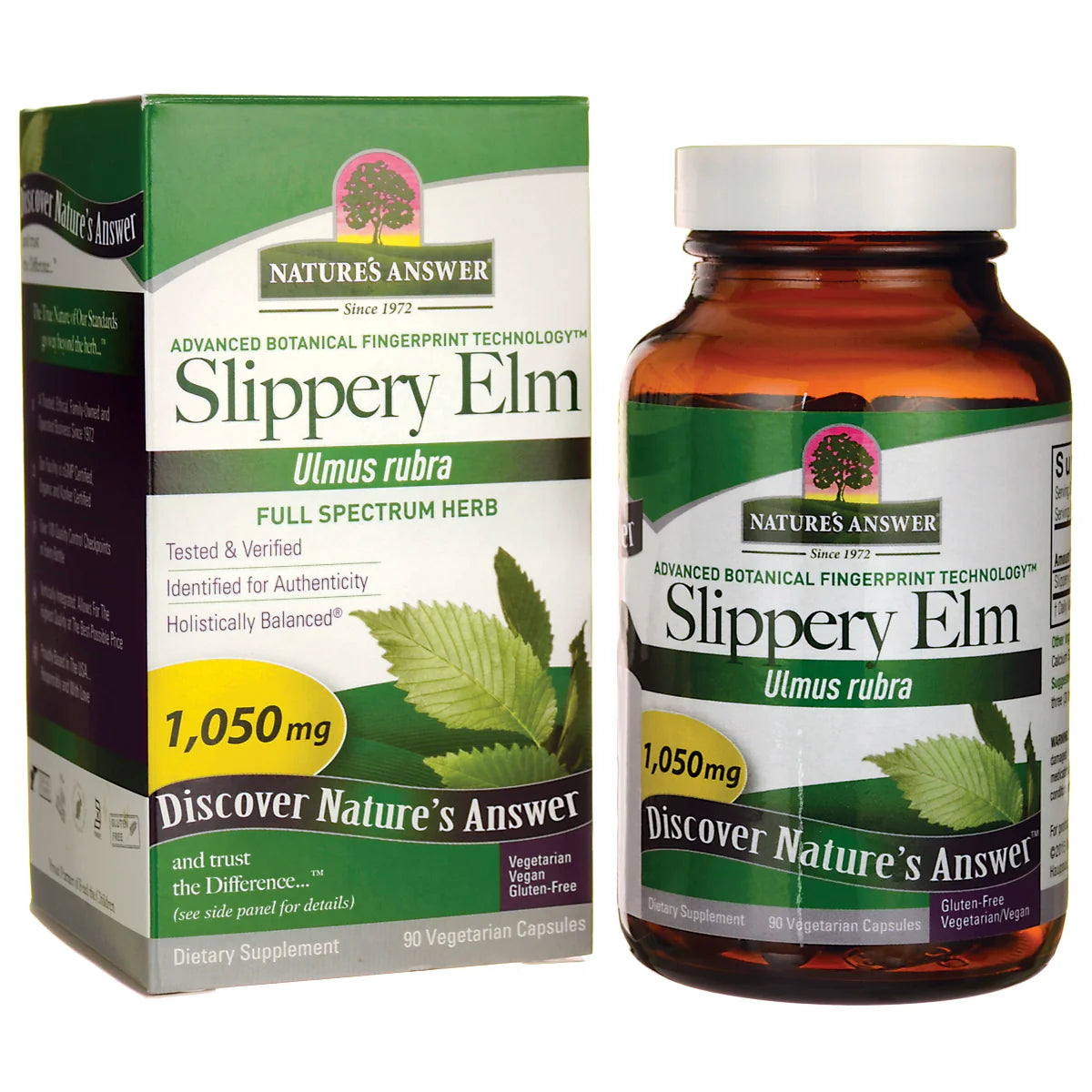 Slippery Elm