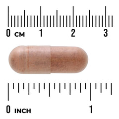 Cinnamon Extract