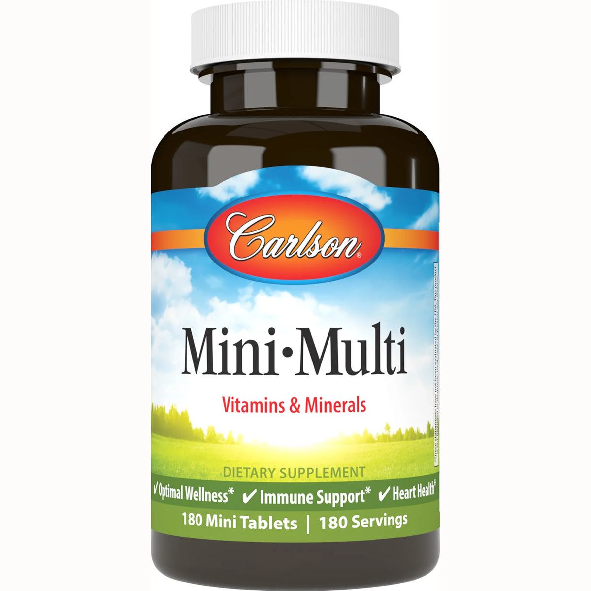 Mini-Multi