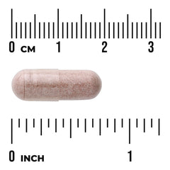 Grape Seed Extract - Standardized