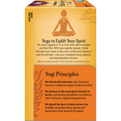 Sweet Tangerine Positive Energy Tea