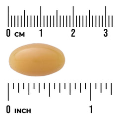 Phosphatidylserine Soy-Free Formula