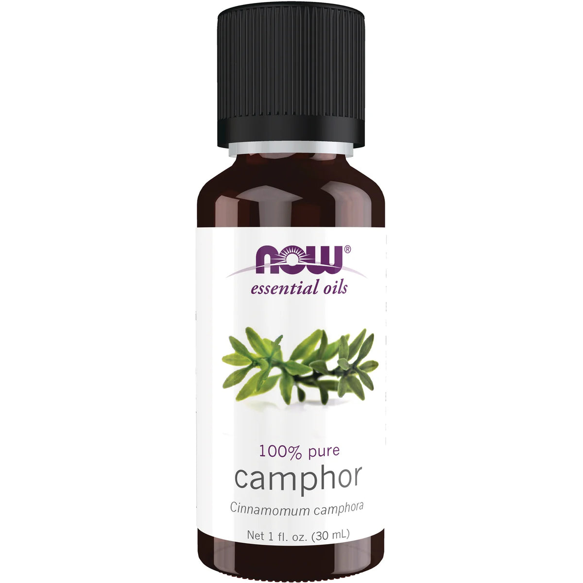 100% Pure Camphor