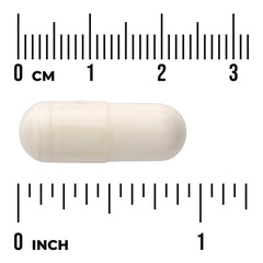 White Kidney Bean Extract