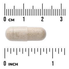 Elderberry & Echinacea with Agaricus Blazei Mushroom