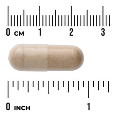 Full Spectrum Tribulus Fruit