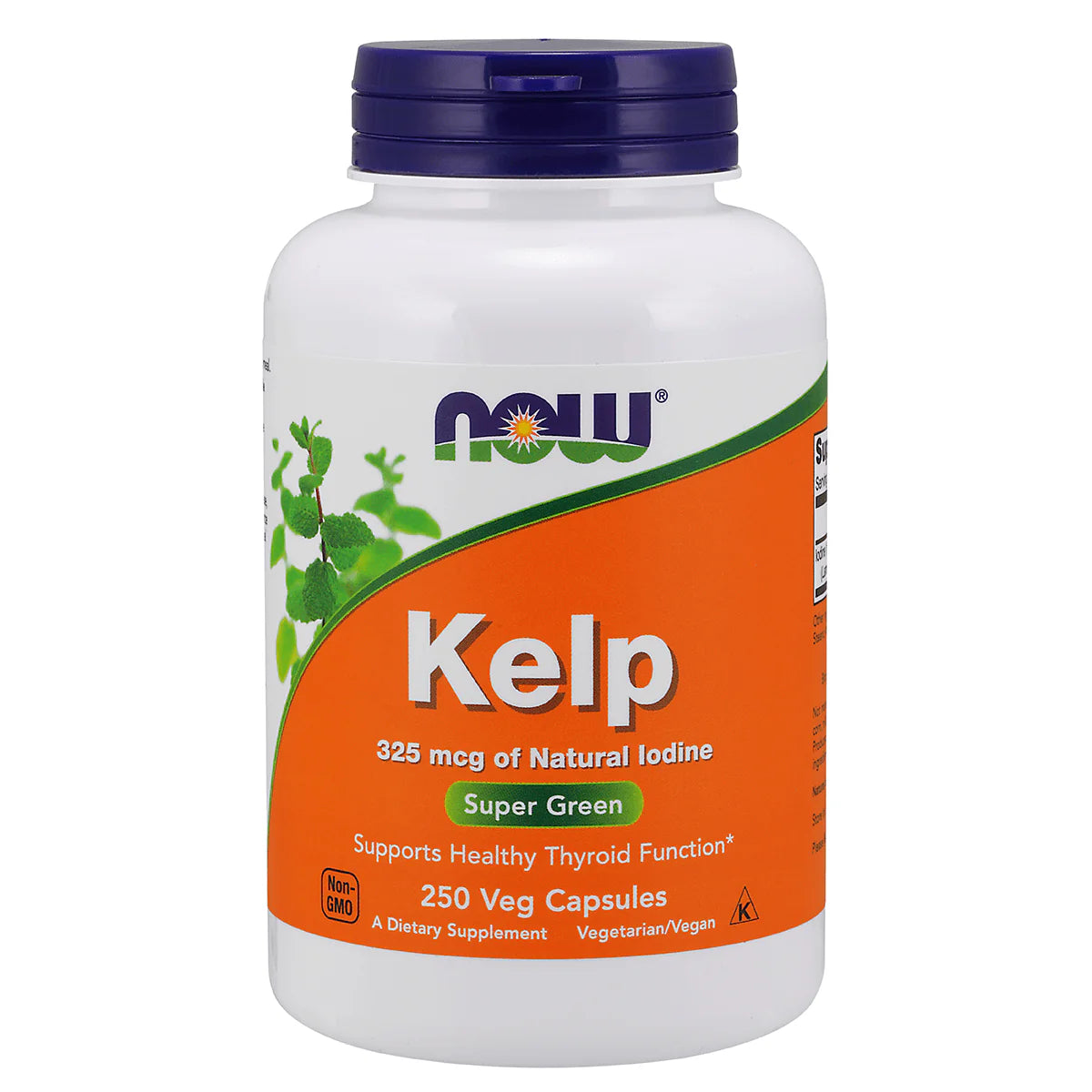 Kelp
