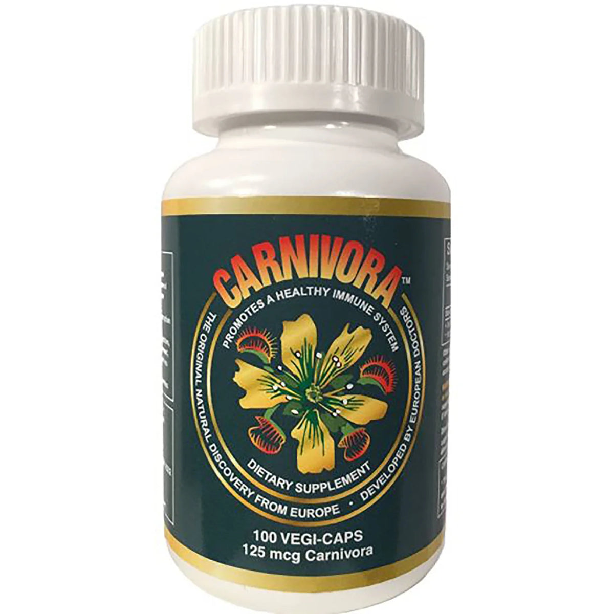 Carnivora