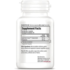 #107 Aged Garlic Extract Phytosterols