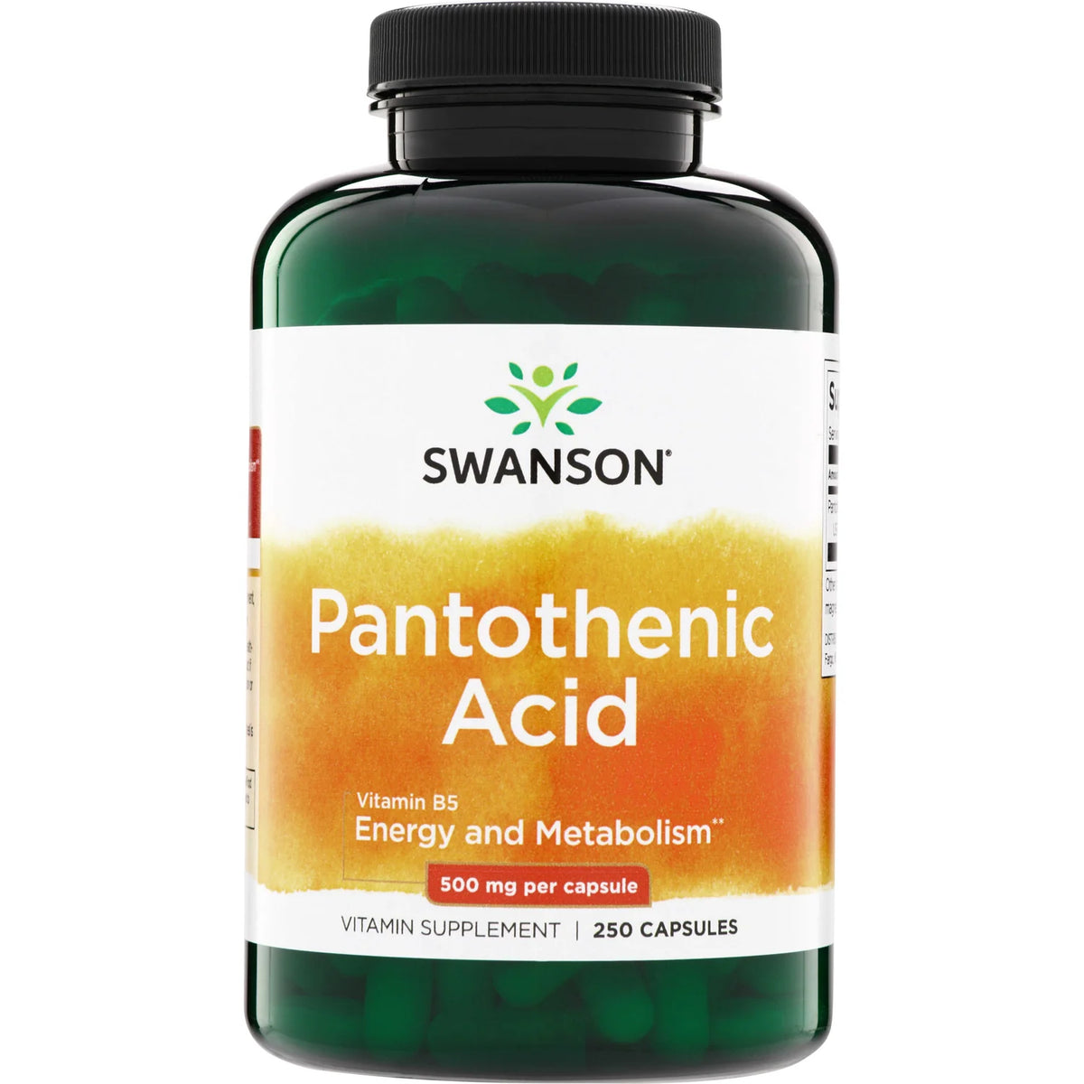 Pantothenic Acid