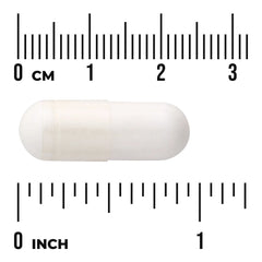 Acti-Joint