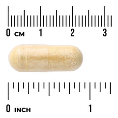 White Willow Bark Extract - Standardized