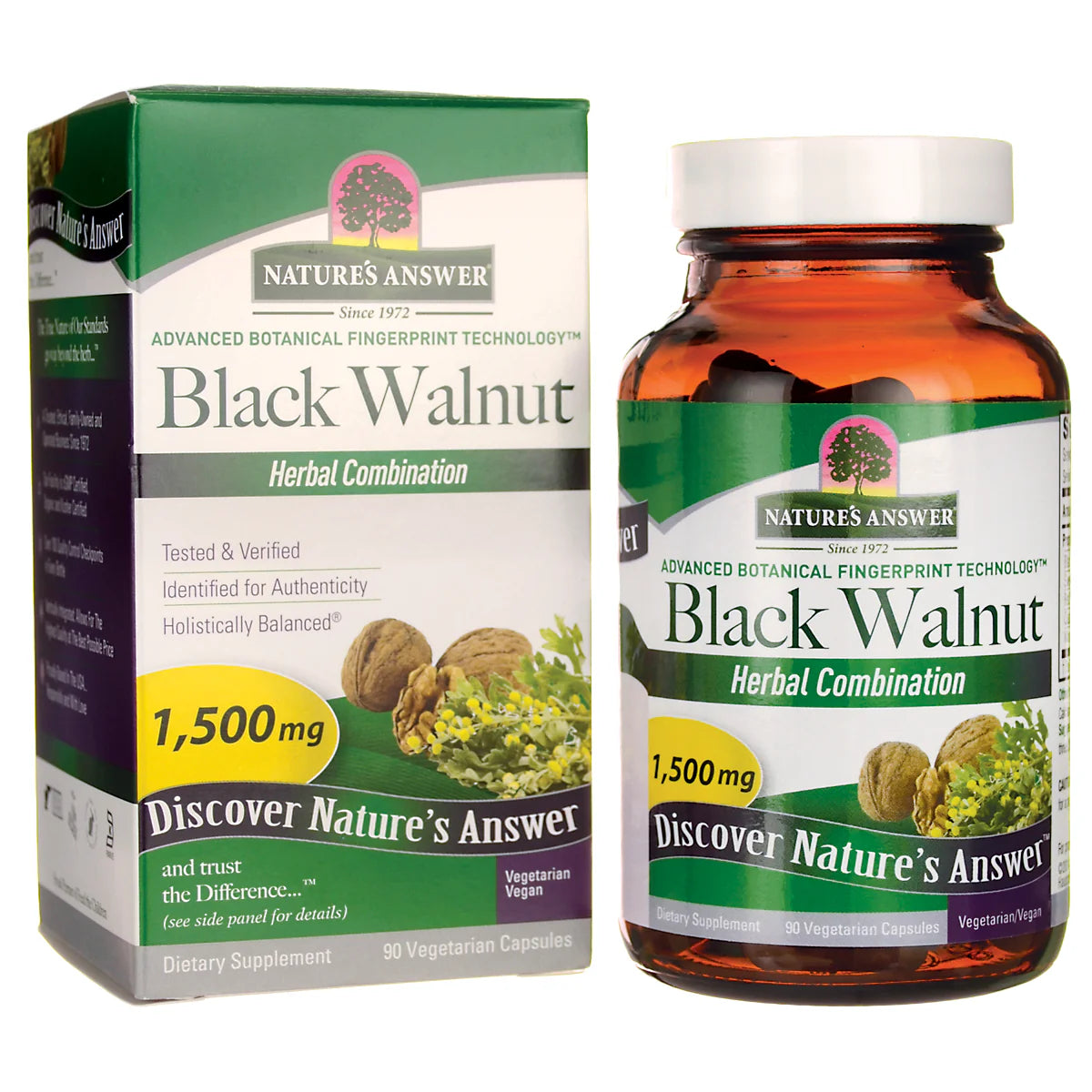 Black Walnut