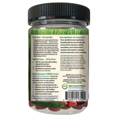 Maca Root + Ashwagandha Gummies - Strawberry