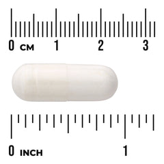 Glucosamine & Chondroitin