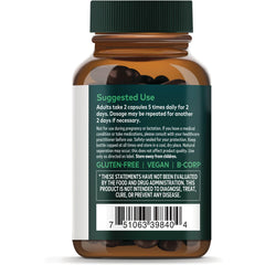 Echinacea Supreme