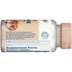 Mushrooms Organic Maitake Fermented