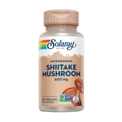 Mushrooms Shiitake Mushroom