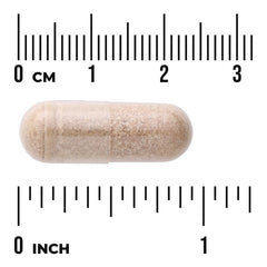 Schizandra Extract - Standardized