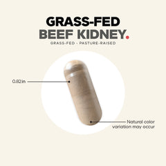 Grass-Fed Beef Kidney